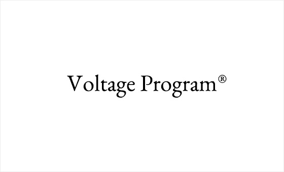 Voltage Program