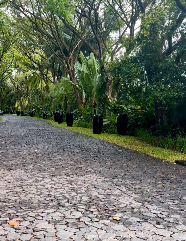 バリ島に行ってきました! バリ島に行ってきました!