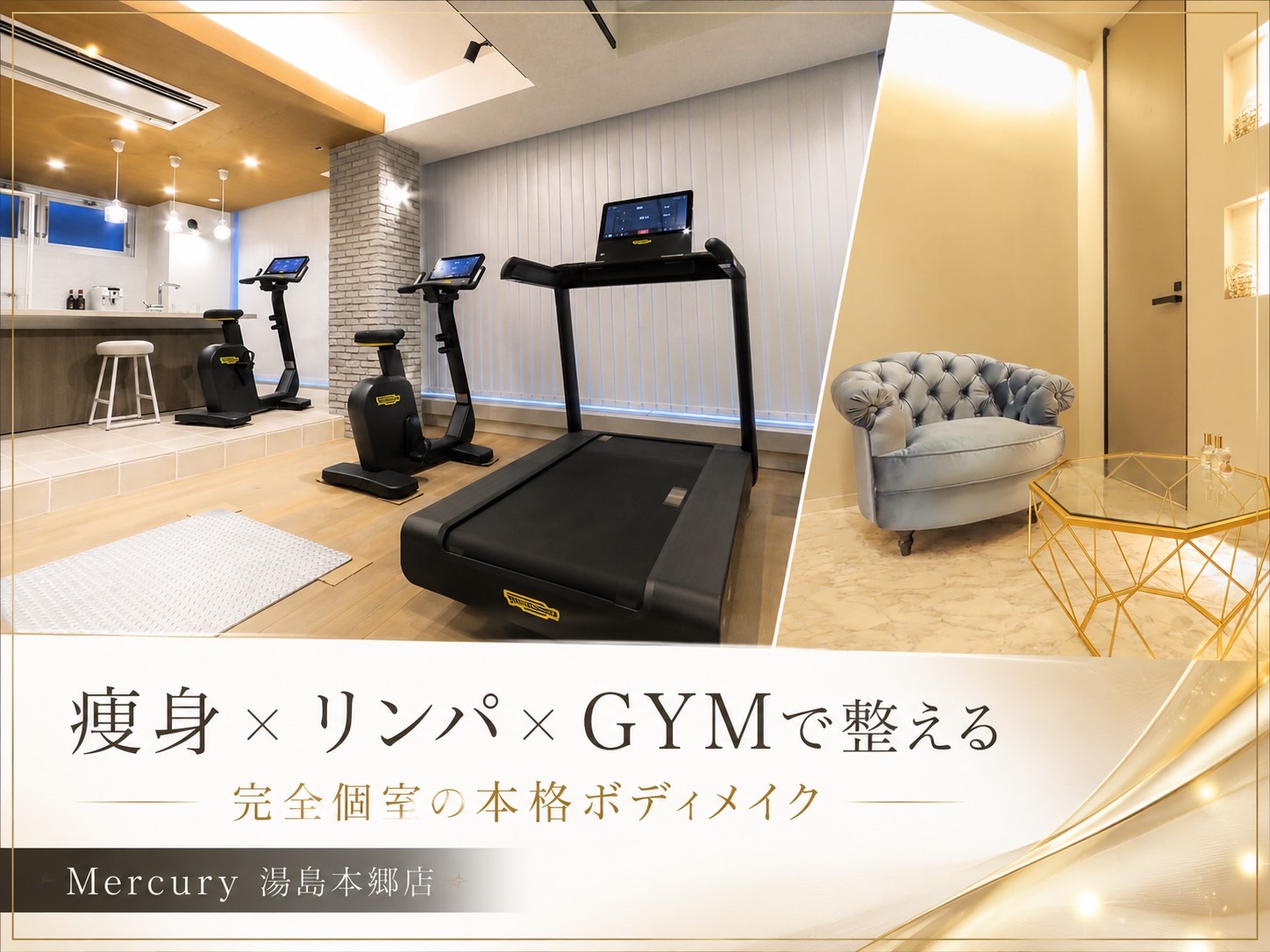 Voltage Mercury 湯島本郷店
